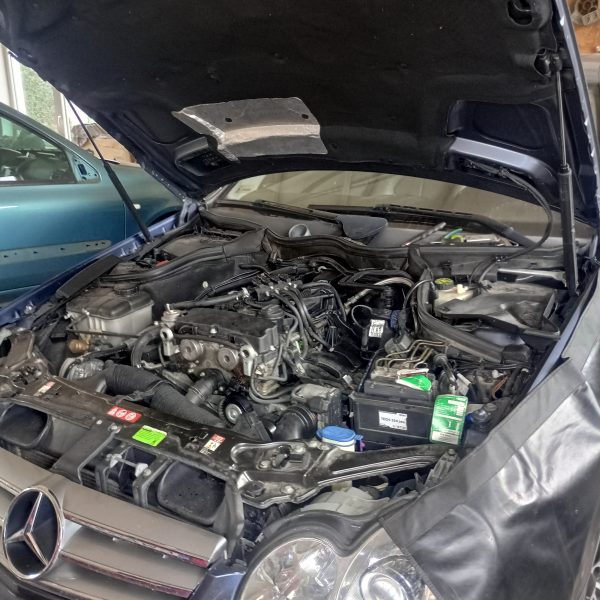 IMG_20231005_103249_HDR