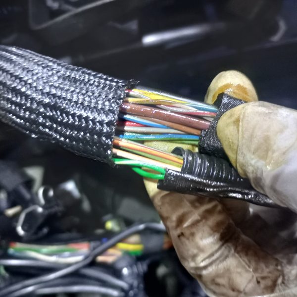 IMG_20231005_145901_HDR